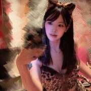 ヒメ日記 2026/10/14 05:45 投稿 くう JAPAN CLUB BUNNY LOUNGE