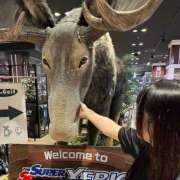 ヒメ日記 2026/09/03 10:50 投稿 てん ふわふわコレクション川越店