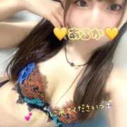 ヒメ日記 2026/09/09 21:17 投稿 神木 あるか Canx2京都店