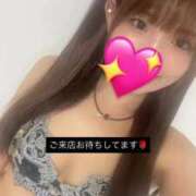 ヒメ日記 2026/09/14 11:47 投稿 神木 あるか Canx2京都店