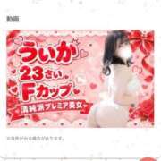 ヒメ日記 2026/09/28 21:02 投稿 ういか ぽっちゃり巨乳素人専門店ぷにめろ池袋店