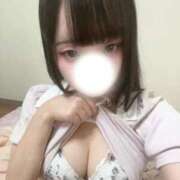 ヒメ日記 2026/07/31 15:18 投稿 サラサエビ　更紗海老 女の子市場