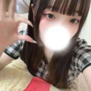 ヒメ日記 2026/08/01 20:48 投稿 サラサエビ　更紗海老 女の子市場