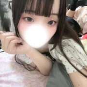 サラサエビ　更紗海老 🦐ki222お兄さん 女の子市場