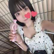 ヒメ日記 2026/07/14 18:34 投稿 しゅり CECIL
