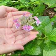 ヒメ日記 2026/06/28 13:18 投稿 水瀬 菘 30代40代50代と遊ぶなら博多人妻専科24時