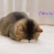 ヒメ日記 2026/08/12 08:54 投稿 月城 そら こあくまな熟女たち 上野・御徒町店 (KOAKUMAグループ)
