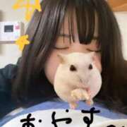 ヒメ日記 2026/08/03 02:31 投稿 うい☆美乳明るいみんな好き系！ じゃむじゃむ