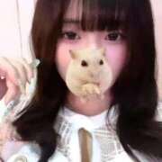 ヒメ日記 2026/08/13 00:51 投稿 うい☆美乳明るいみんな好き系！ じゃむじゃむ