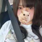ヒメ日記 2026/09/12 14:35 投稿 うい☆美乳明るいみんな好き系！ じゃむじゃむ