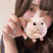 ヒメ日記 2026/09/12 20:25 投稿 うい☆美乳明るいみんな好き系！ じゃむじゃむ