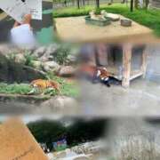 ヒメ日記 2026/09/12 16:08 投稿 うみ ぐっどがーる浜松店