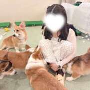 ヒメ日記 2026/08/08 11:04 投稿 涼風あめ ラブアイドル