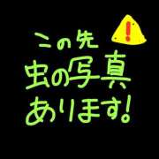 ヒメ日記 2026/07/19 17:49 投稿 きらり 制服天国（ユメオト）