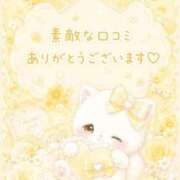 ヒメ日記 2026/07/02 16:46 投稿 はな マネキン 名駅店