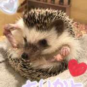 ヒメ日記 2026/07/05 18:53 投稿 虹穂　にじほ 本庄人妻城