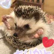 ヒメ日記 2026/08/07 16:15 投稿 虹穂　にじほ 本庄人妻城