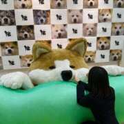 ヒメ日記 2026/10/07 23:34 投稿 べに I❤HIMEJI（アイラブ姫路）