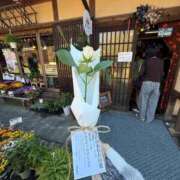 ヒメ日記 2026/10/15 08:43 投稿 松本　るる ピンクダイア
