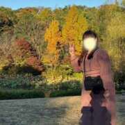 ヒメ日記 2026/07/14 10:02 投稿 ののか ぽっちゃり巨乳素人専門店ぷにめろ池袋店