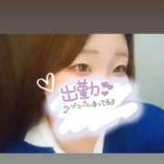 ヒメ日記 2026/09/07 17:52 投稿 まみ 渋谷ちゃんこ