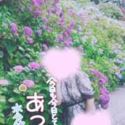 ヒメ日記 2026/07/31 10:20 投稿 花実【はなみ】 丸妻 西船橋店