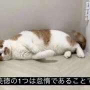 ヒメ日記 2026/08/08 10:40 投稿 ひめか Mirage(渋谷)