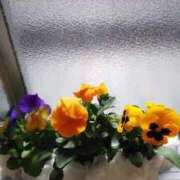 ヒメ日記 2026/06/30 15:52 投稿 ゆうひ 熟女総本店