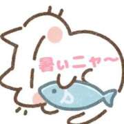 ヒメ日記 2026/06/29 16:06 投稿 なお club さくら日本橋店