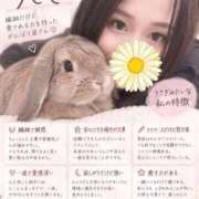 ヒメ日記 2026/09/16 18:17 投稿 なほ 大宮人妻デリヘル～大人の事情～