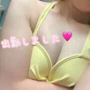 ヒメ日記 2026/07/19 06:02 投稿 シュリ AMOUR（アムール）