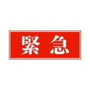 ヒメ日記 2026/07/30 17:17 投稿 れもん 秋葉原鑑賞ガール