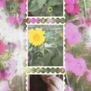 ヒメ日記 2026/08/01 08:22 投稿 花澄（かすみ） 熟女の風俗最終章　一宮店