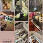 ヒメ日記 2026/09/14 07:17 投稿 花澄（かすみ） 熟女の風俗最終章　一宮店