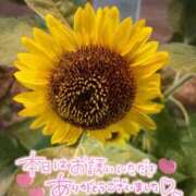 ヒメ日記 2026/07/18 23:01 投稿 白雪（しらゆき） 熟女の風俗最終章　一宮店