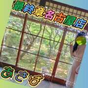 ヒメ日記 2026/07/23 19:43 投稿 秋葉（あきば） 熟女の風俗最終章　一宮店