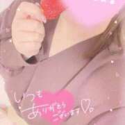 ヒメ日記 2026/08/23 08:53 投稿 白瀬（しらせ） 熟女の風俗最終章　一宮店