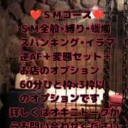 ヒメ日記 2026/07/19 08:28 投稿 狩生（かりゅう） 熟女の風俗最終章　一宮店