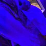 ヒメ日記 2026/07/06 11:16 投稿 もも 裏垢女子寮
