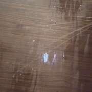 ヒメ日記 2026/07/12 08:56 投稿 じぇしか みるくDX