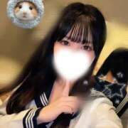 ヒメ日記 2026/10/17 11:28 投稿 ナノ PALCO