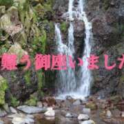 ヒメ日記 2026/08/09 16:51 投稿 四季（しき） 松戸デリヘル　熟女ヘブン
