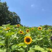 ヒメ日記 2026/07/07 08:11 投稿 なつき The White