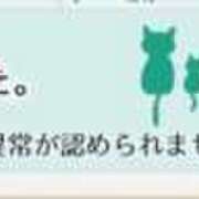 ろあ こんばんわん🐶 白いぽっちゃりさん仙台店