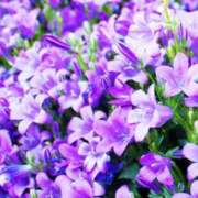 ヒメ日記 2026/08/15 20:39 投稿 ちはる マダム可憐