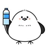 ヒメ日記 2026/09/13 19:41 投稿 ちはる マダム可憐