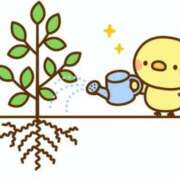 ヒメ日記 2026/09/15 20:47 投稿 ちはる マダム可憐