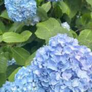 ヒメ日記 2026/07/09 07:10 投稿 みなも ごほうびSPA五反田店