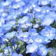 ヒメ日記 2026/07/11 11:20 投稿 みなも ごほうびSPA五反田店