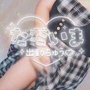 ヒメ日記 2026/09/24 12:19 投稿 さくら 茨城日立ちゃんこ